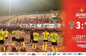 开云中国-图卢兹客场逼平尼斯，积极寻求保级机会(图卢兹和尼斯的关系)